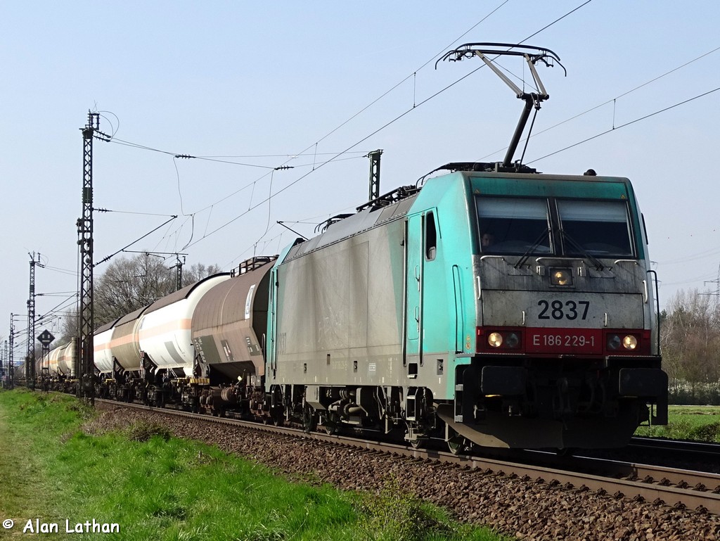 186 229 FMB Trennstelle 8 April 2015
SNCB 'Cobra' Antwerp-BASF Ludwigshafen

