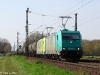 DSC06461.JPG